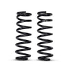 Desolate Motorsports 2 Inch Lift Coils (Gas)