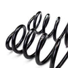 Desolate Motorsports 2 Inch Lift Coils (Gas)
