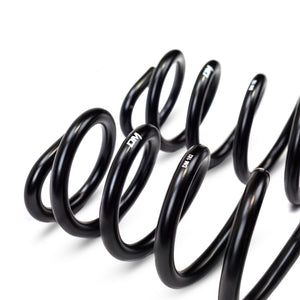 Desolate Motorsports 2 Inch Lift Coils (Gas)