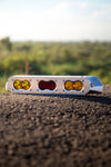 Ford OBS F Series Third Brake Light Housing
